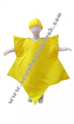 kostum bintang large.jpg